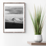 Air Code, Black and White