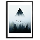 Birds in the Mist