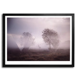 Deer in the Mist