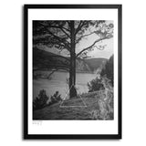 Fire Code, Black and White