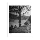 Fire Code, Black and White