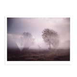 Deer in the Mist