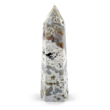 Orbicular Ocean Jasper Generator