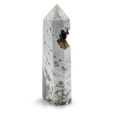 Orbicular Ocean Jasper Point